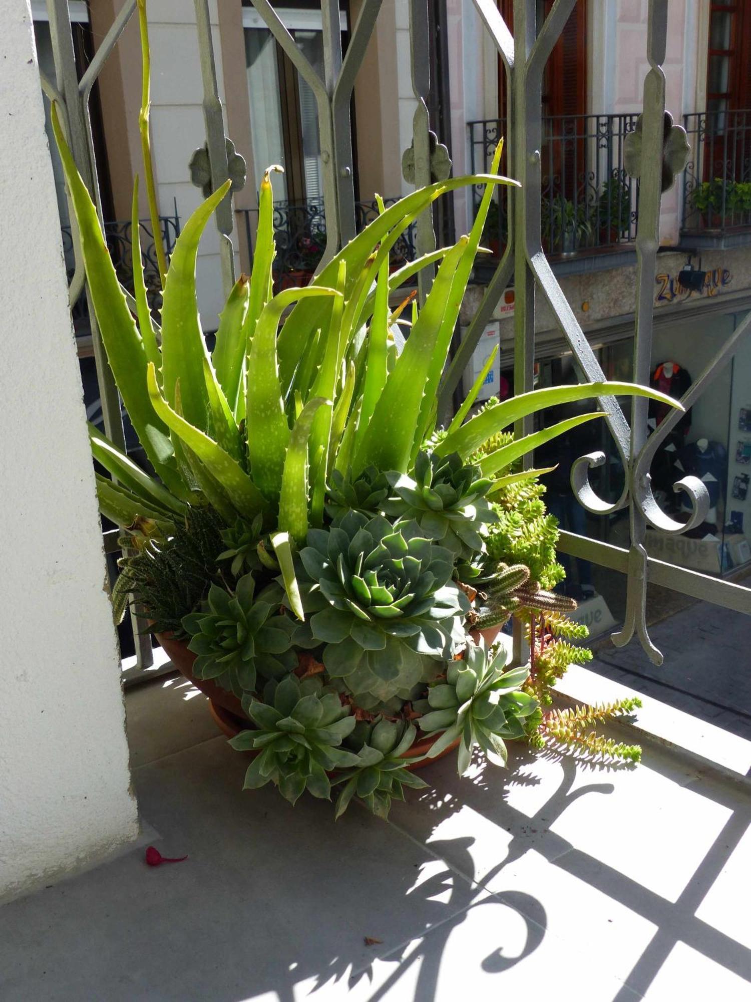 Apartamento Abside De San Juan I เอสเตลลา ภายนอก รูปภาพ